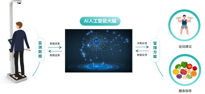 智衡·营养引擎AI体重管理系统